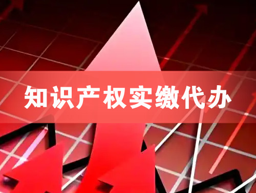 南安知识产权实缴资本代办